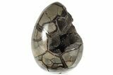 9.8" Septarian "Dragon Egg" Geode - Madagascar - #203812-1